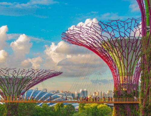 Benefits of being a Singapore Permanent Resident