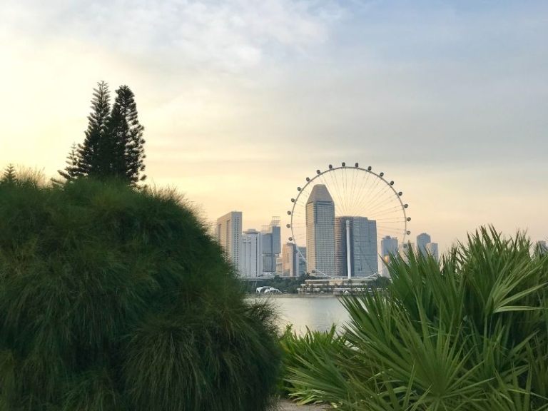 For Filipinos looking to find jobs overseas, this article helps to understand how this organisation works and to protect your interests.