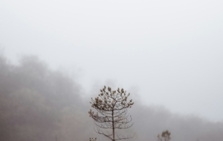 Hong Kong to Singapore relocation 2026 skyline view
