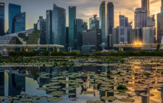 Singapore Marina Bay skyline with lily pond at sunset