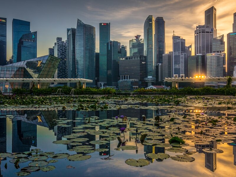 Singapore Marina Bay skyline with lily pond at sunset