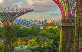 Singapore PR Re-Entry Permit five-year strategy 2026 — Gardens by the Bay Supertrees