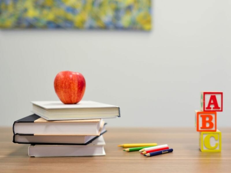 Singapore schools for expats 2026 international local hybrid curriculum fees guide
