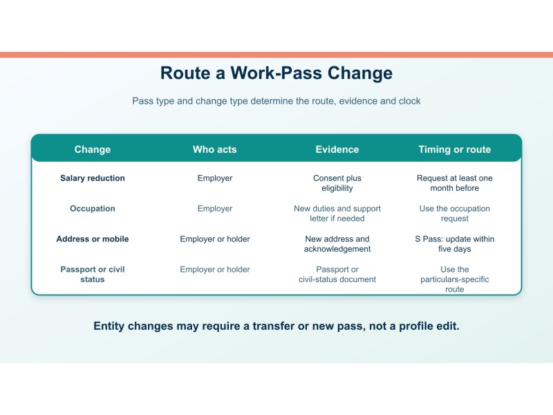 Original editorial decision diagram for changing a pass holder's details: what employers update with mom