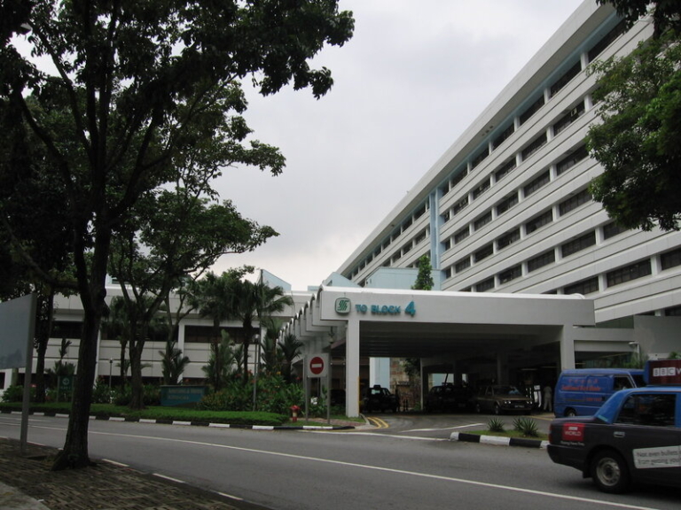 Foreign midwife Employment Pass Singapore Nursing Board registration
