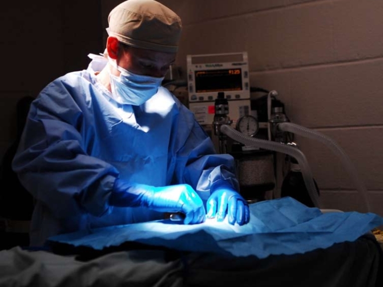 Hiring a foreign veterinarian in Singapore, veterinary clinic operating room