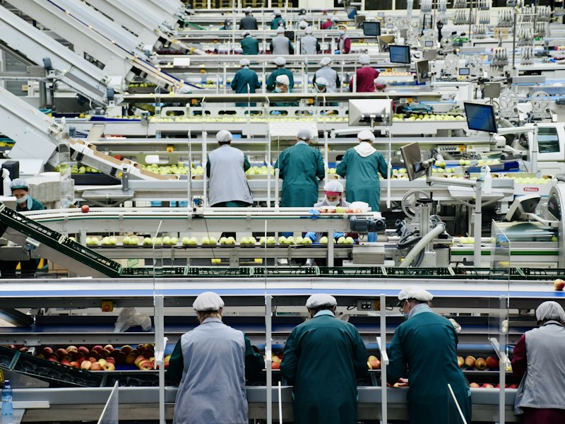 Workers on a production line inside a food processing factory